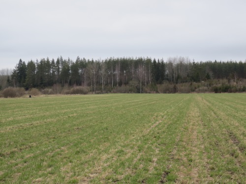 Säätösalaojitus- ja kontrollilohko