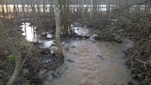 WP_20151208_10_00_40_Pro_tulvimista_Mustialanlammiin_pieni.jpg