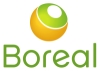 Boreal_logo_RGB_pienennetty.jpg